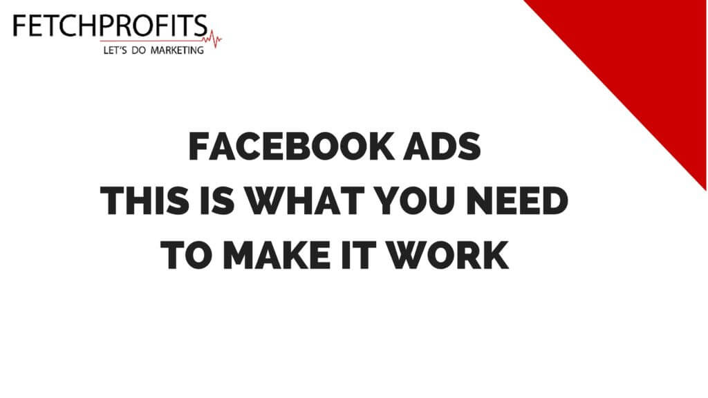 Facebook Ads Basics: What It Really Takes To Get Results?