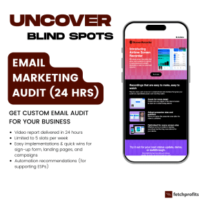 Email marketing audit