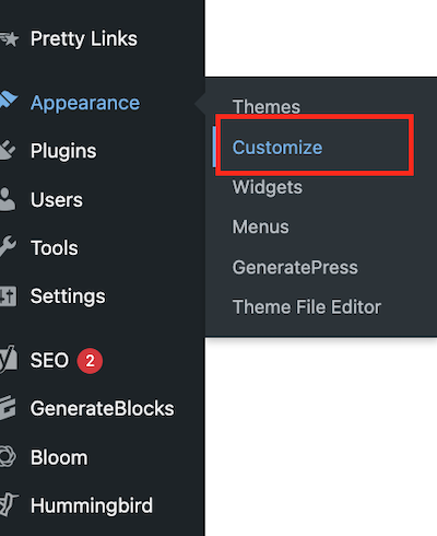 Customize WordPress Option