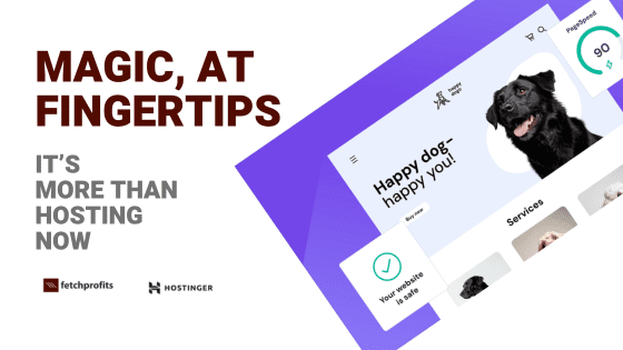 Hostinger Review
